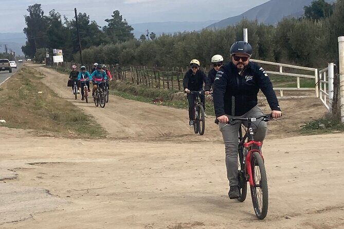 "Bike 2 wine", Exploring vineyards on a bike - FAQ