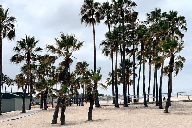 Bike Adventure Tour in Beverly Hills, Santa Monica and Venice - FAQs