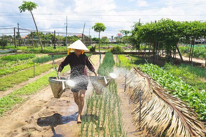 Bike and Bite Tour in Hoi An - FAQ