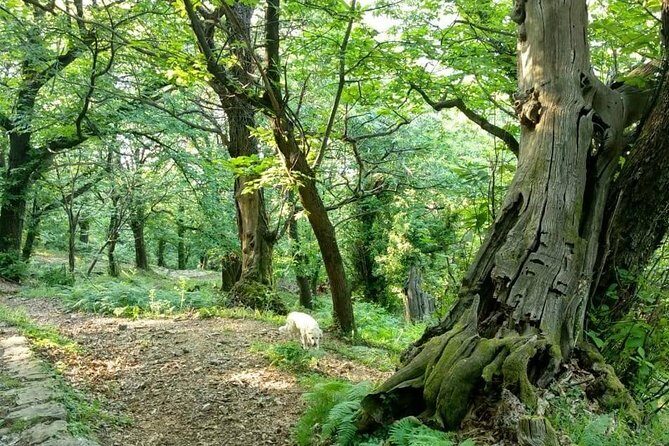 Bike & hike tour - Who Will Love This Tour?