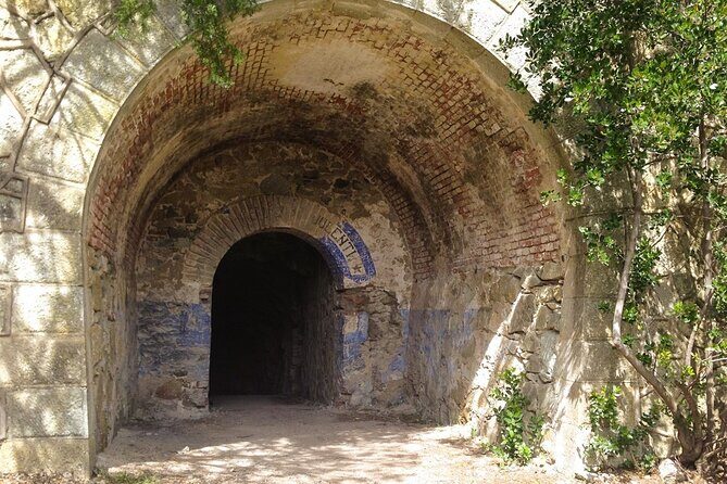 Bike-Nic Half Day Tour to the Bunkers of Monte Enfola - Who Should Consider This Tour?