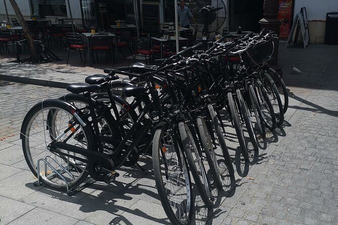 Bike rental day - Who Should Consider This Bike Rental?