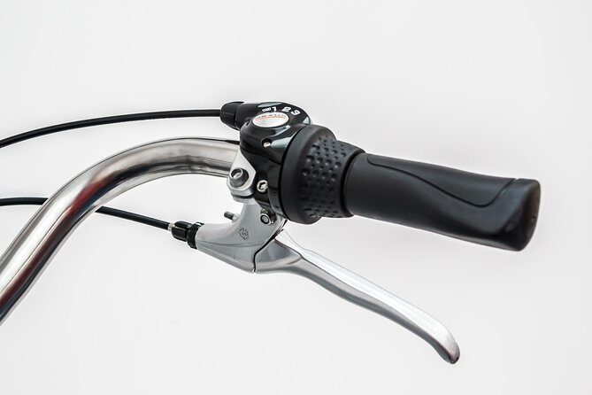 Bike Rental in Amsterdam - Who Is This Experience Best For?