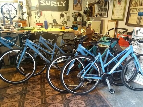 Bike Rental in Getxo (Bilbao Seaside) - Who Should Consider This Tour?