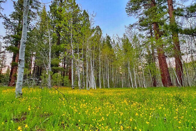 Bike Rental in South Lake Tahoe - Why Rent a Bike in South Lake Tahoe?