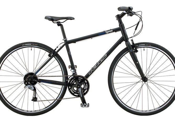Bike Rental in South Lake Tahoe - Who Should Consider This Experience?