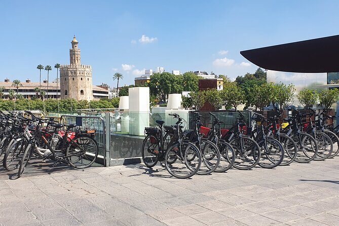 Bike Rental per Day in Seville - Who Will Benefit Most from This Experience?