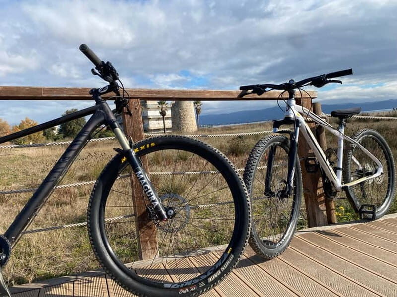 Bike rental: Port of Cagliari, Su Siccu, Nervi Park, Molentargius - A Deep Dive into the Cagliari Bike Experience