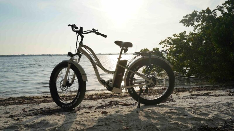 Bike Rental - Who Will Love This Experience?