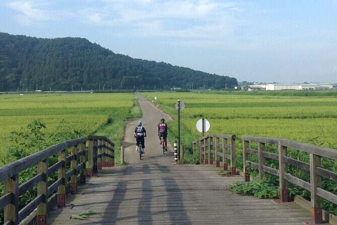 Bike Rentals in Nagano to Explore Snow Monkey Park. - The Value of the Experience