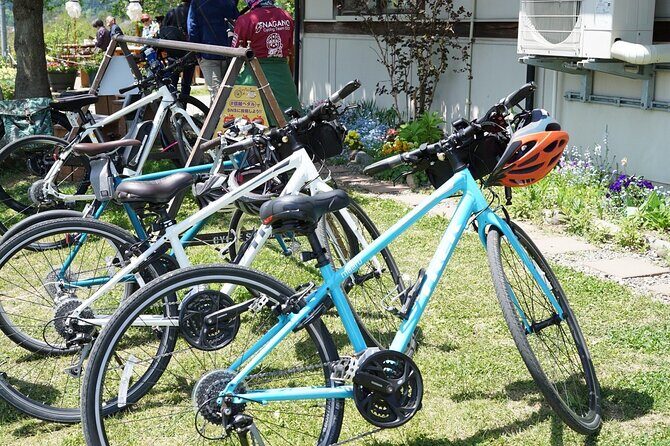 Bike Rentals in Nagano to Explore Snow Monkey Park. - The Sum Up