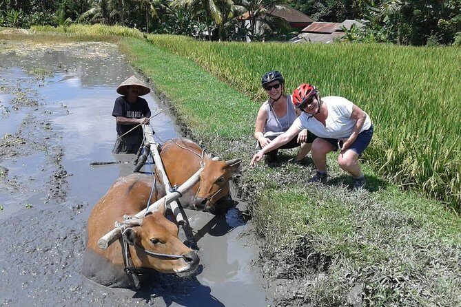 Bike ride in the rice fields, Bali countryside - Final Thoughts
