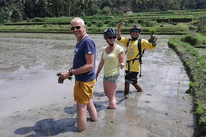 Bike ride in the rice fields, Bali countryside - FAQ
