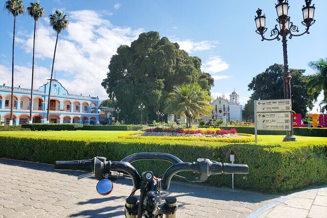 Bike Ride to the Largest Tree in the World - An In-Depth Look at the Bike Ride to El Tule