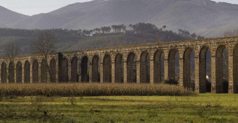Bike Self-Tour in the Lucca Countryside and Green Landscapes - Exploring the Lucca Countryside on Two Wheels