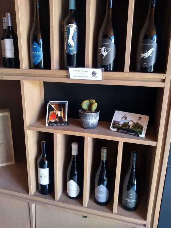 Bike Through Vineyards The best Wine in the Guadalupe Valley - FAQ