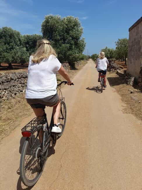 Bike Tour among the Ancient Olive Trees with EVO Oil Tasting - Key Points