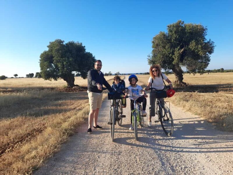 Bike Tour among the Ancient Olive Trees with EVO Oil Tasting - A Closer Look at the Itinerary and What to Expect