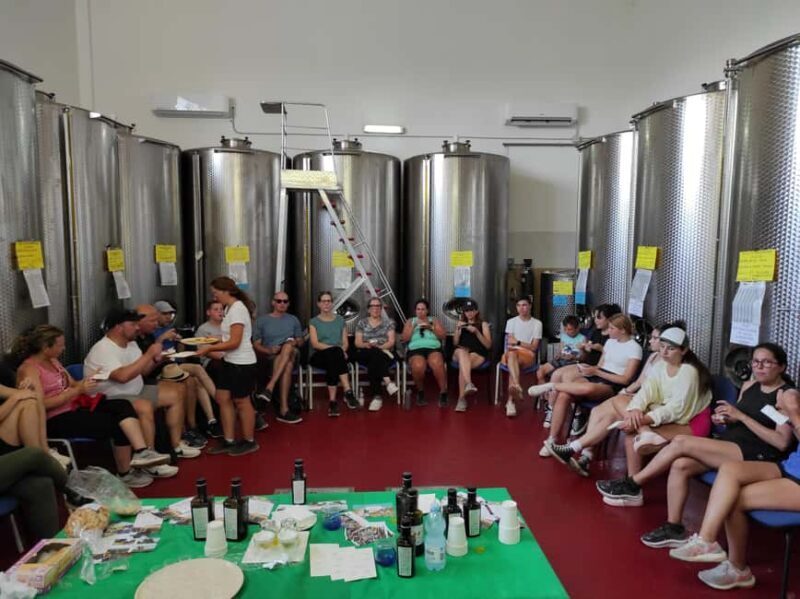 Bike Tour among the Ancient Olive Trees with EVO Oil Tasting - The Real Value: Why It’s Worth Considering