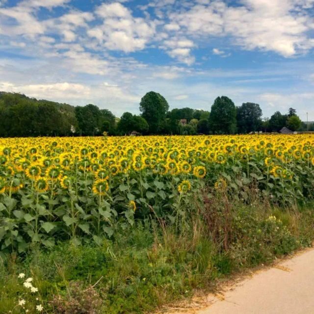Bike tour from Vernon to Giverny with local guide - The Sum Up