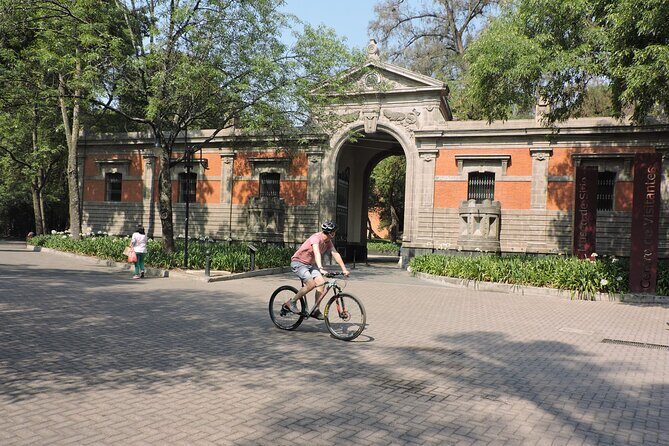 Bike tour in the Chapultepec Forest and Roma Condesa - An In-Depth Look at the Bike Tour Experience