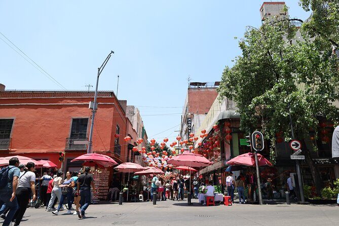 Bike Tour through Chapultepec, Reforma and the Zócalo / Mexico - Key Points