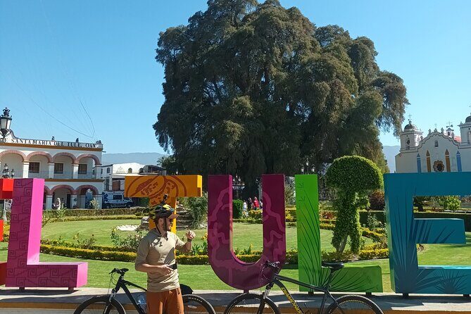 Bike tour to the Tule Tree and the Gastronomic Market - Key Points