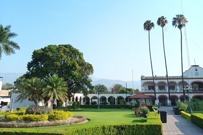 Bike tour to the Tule Tree and the Gastronomic Market - An In-Depth Look at the Tour Experience