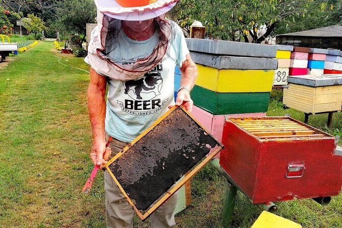 Bike tour with honey and artichockes on SantErasmo island - Why This Tour Is Worth Considering