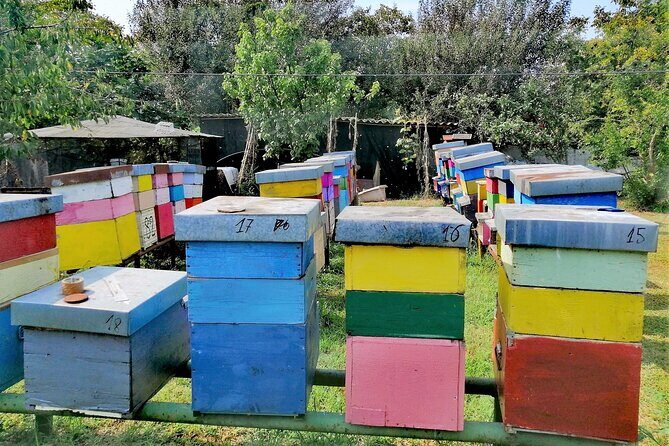 Bike tour with honey and artichockes on SantErasmo island - Final Thoughts: Who Will Love This?