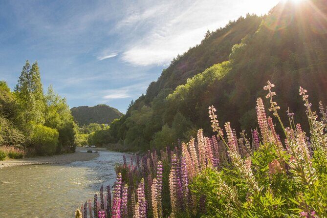 Bike & Wine Tour: Arrowtown to Valley of the Vines - The Sum Up