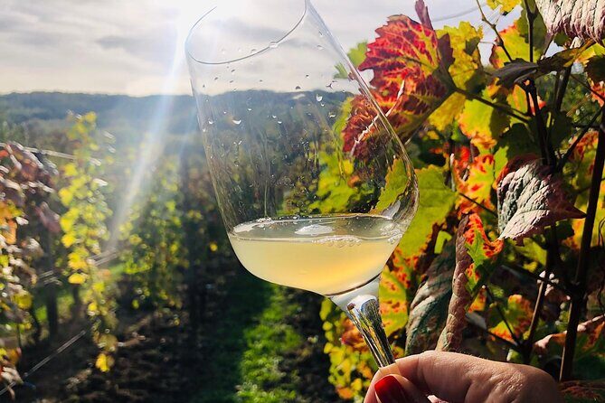 Bike & Wine tour in Dealu Mare wineland - Exploring the Dealu Mare Vineyard Region by Bike