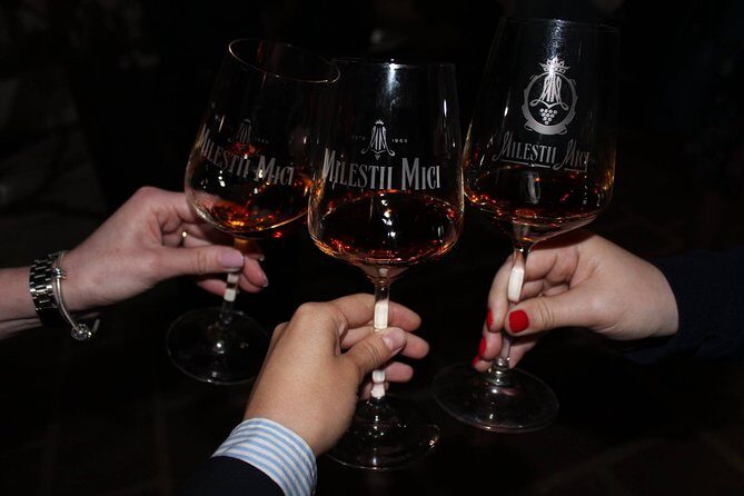 Biking a Guinness Book Winery - Who Should Consider This Tour?