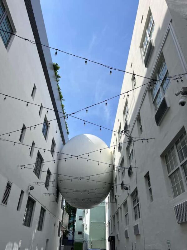 Biking tour around South Beach - in French - Authentic Experiences and Real-World Insights