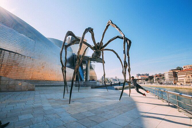 Bilbao Airport Transfers : Bilbao City to Bilbao Airport BIO in Business Car - FAQ