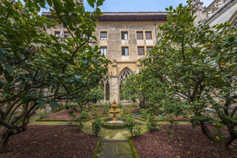 Bilbao: Bilbao Cathedral and San Anton Church Entry Ticket - Who Will Love This Experience?