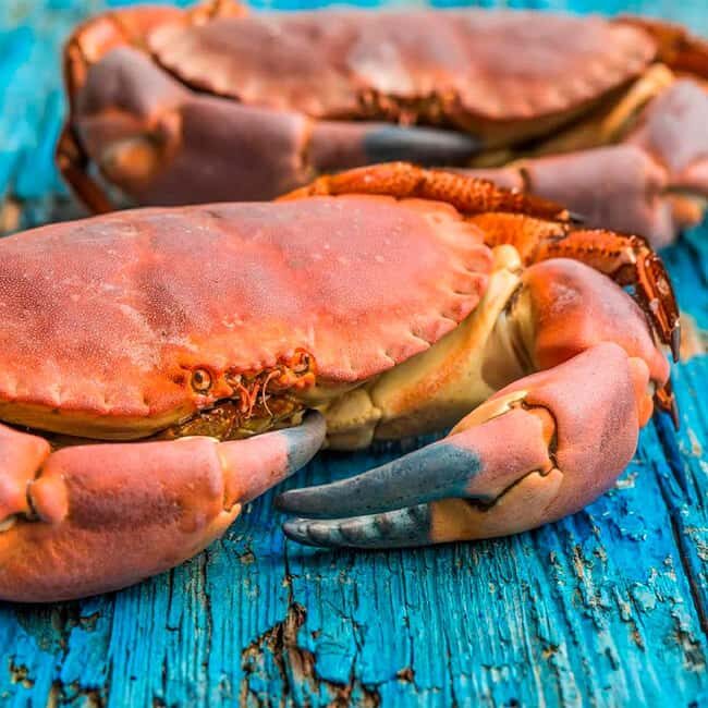 Bilbao: Guggenheim Secrets & Savor the Seas Treasures. VIP - The Culinary Experience: Savoring the Seas