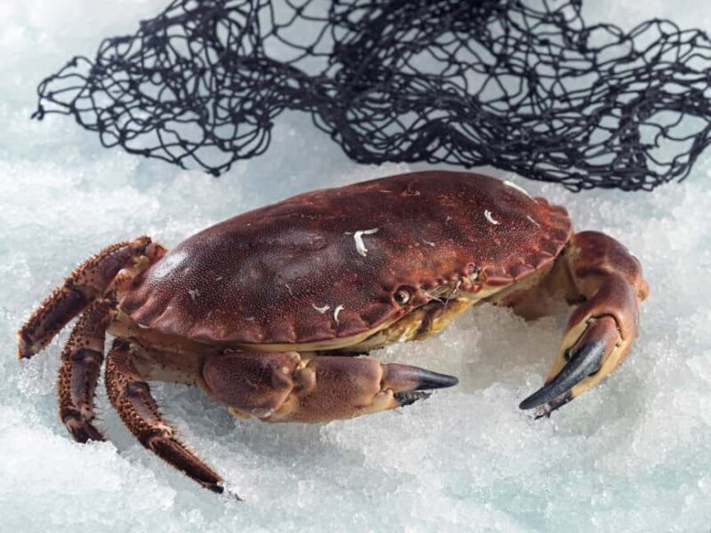 Bilbao: Guggenheim Secrets & Savor the Seas Treasures. VIP - FAQ