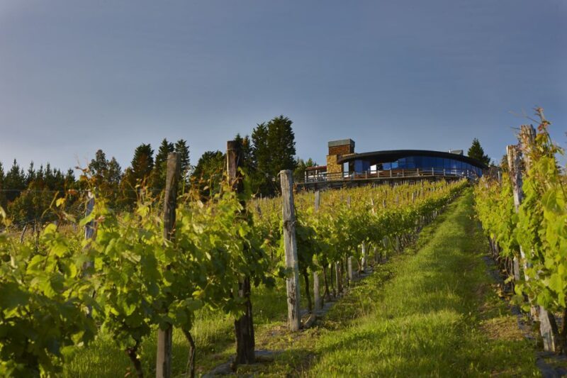 Bilbao Txakoli Wine Tour - An In-Depth Look at the Bilbao Txakoli Wine Tour