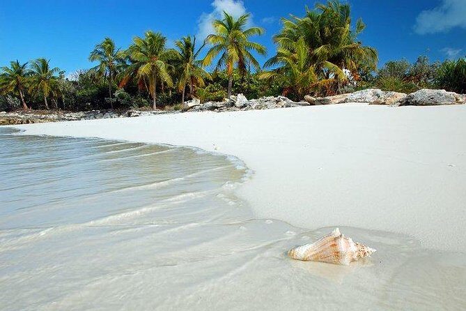 Bimini , Bahamas- Ferry Tickets- Overnight Option - The Experience at a Glance: What We Loved and What to Watch Out For