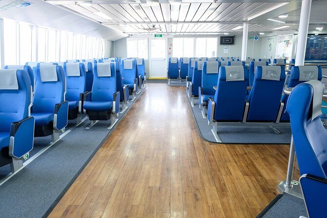 Bimini Day Cruise from Fort Lauderdale with Round-Trip Miami Transfer - Final Thoughts: Is This Tour for You?