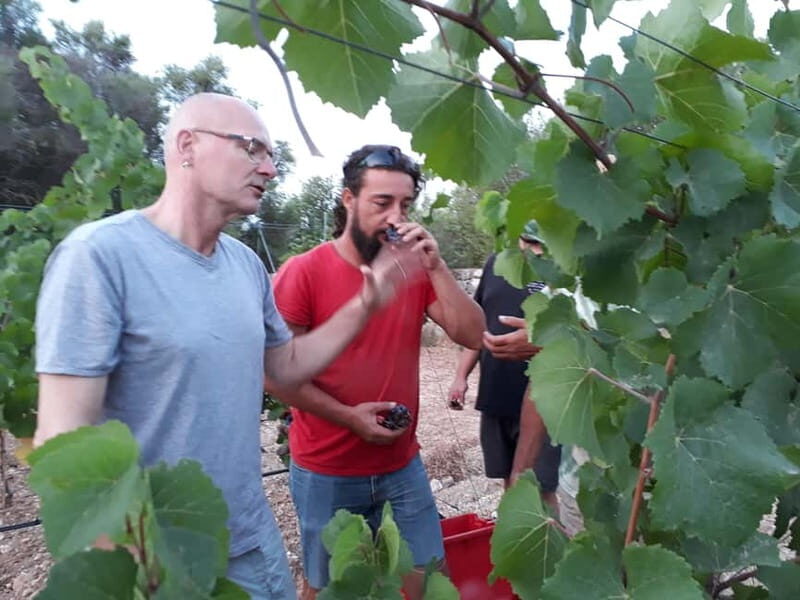 Binissalem: Individual vineyard tour and wine tasting in German - Authenticity & Unique Touches