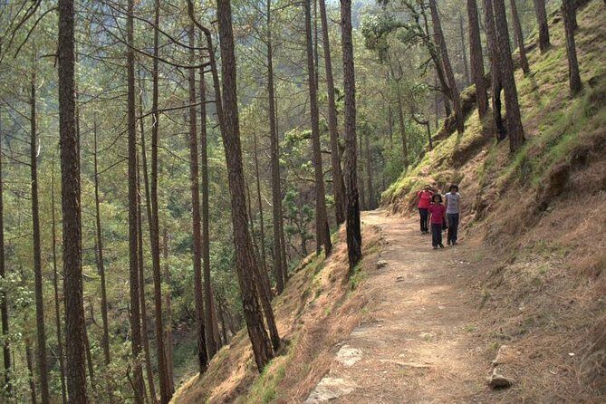 Binsar Sanctuary Walking Holiday - An Overview of the Experience