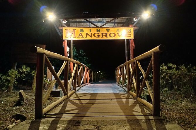 Bintan Fireflies Discovery Tour - Key Points
