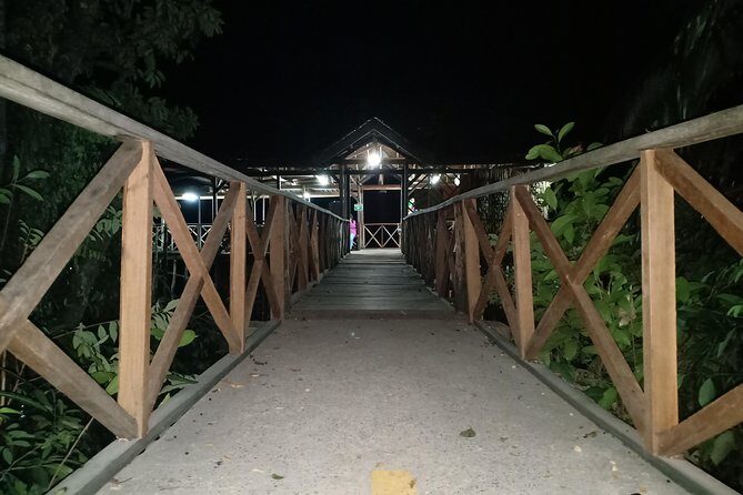 Bintan Fireflies Discovery Tour - An In-Depth Look at the Bintan Fireflies Discovery Tour
