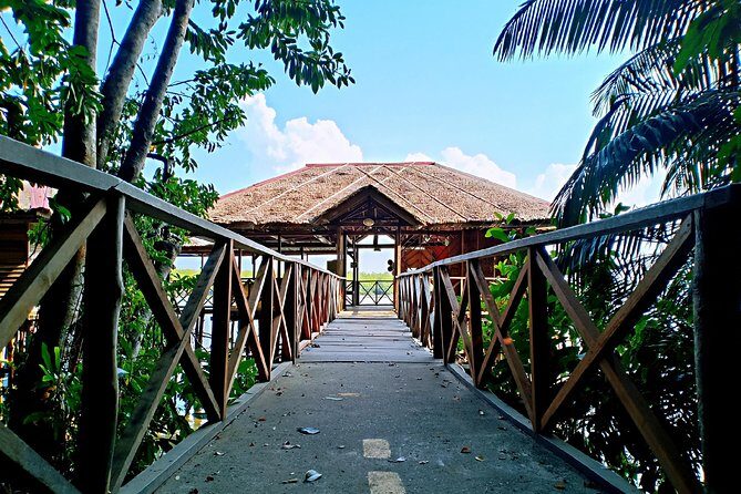 Bintan Mangrove Discovery Tour - An In-Depth Look at the Bintan Mangrove Discovery Tour