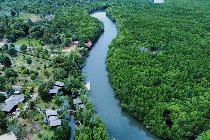 Bintan Mangrove or Fireflies Discovery Tour - An In-Depth Look at the Tour Experience