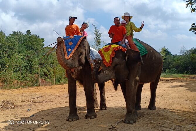 Bintan Safari Lagoi Tour - Animal Encounters and Highlights