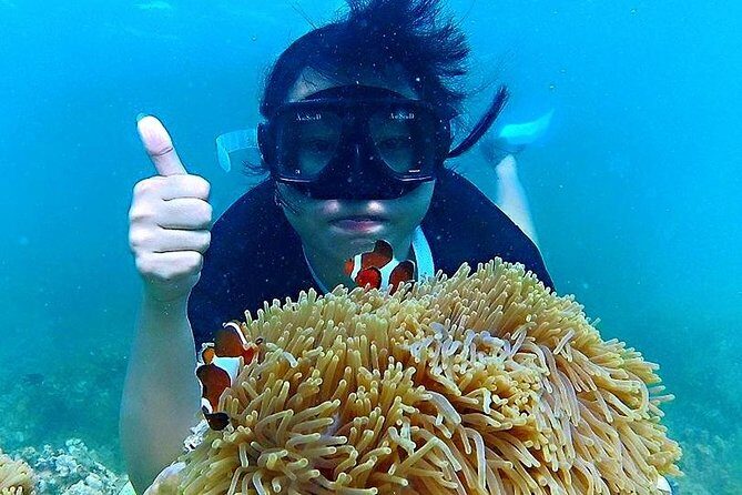 Bintan Snorkeling Tour - Itinerary Breakdown: What to Expect