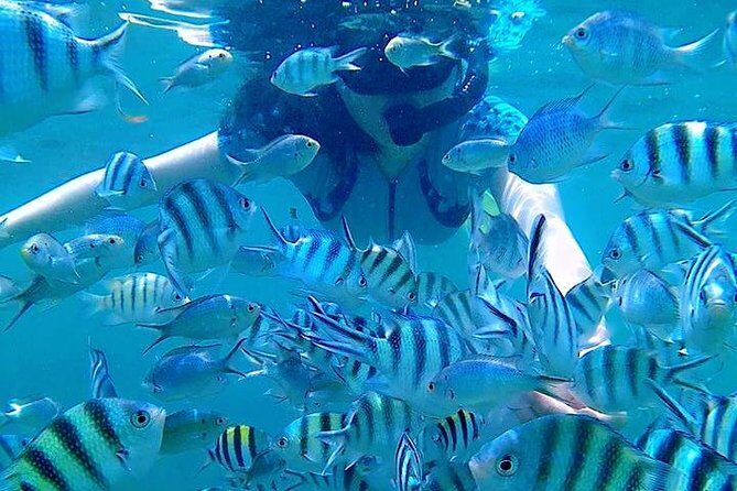 Bintan Snorkeling Tour - FAQ